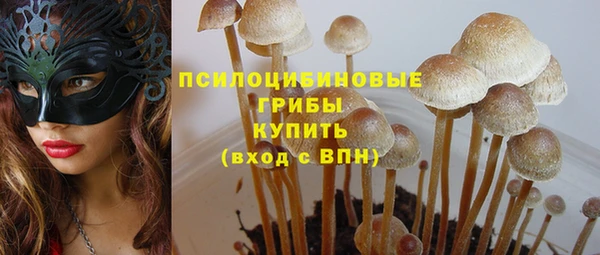 молекула духа Арсеньев