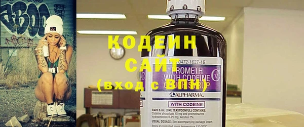 молекула духа Арсеньев