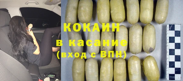 молекула духа Арсеньев