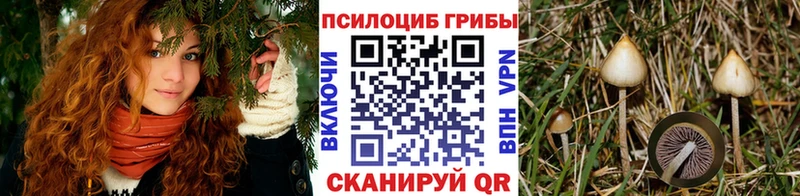 Псилоцибиновые грибы GOLDEN TEACHER  Тетюши 
